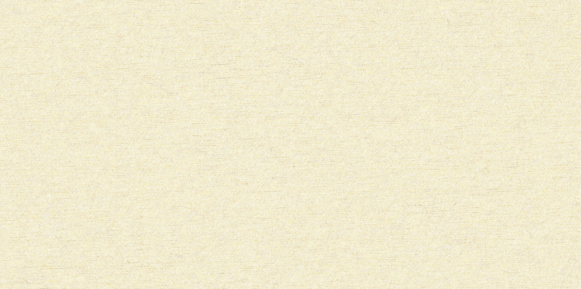 luongsonquan_background